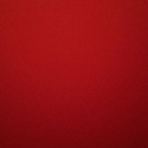 Meet your Posher, Riley